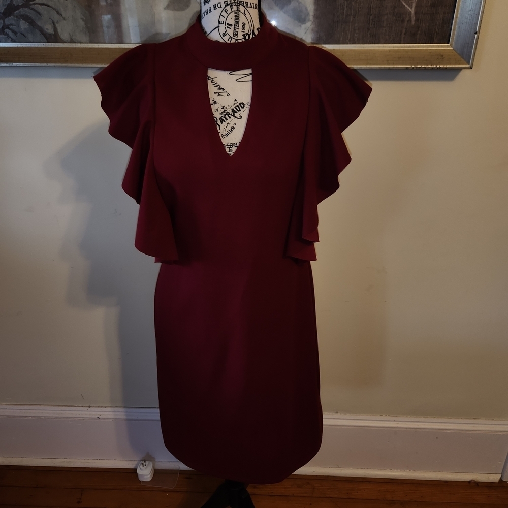 She + Sky Burgundy Midi Dress